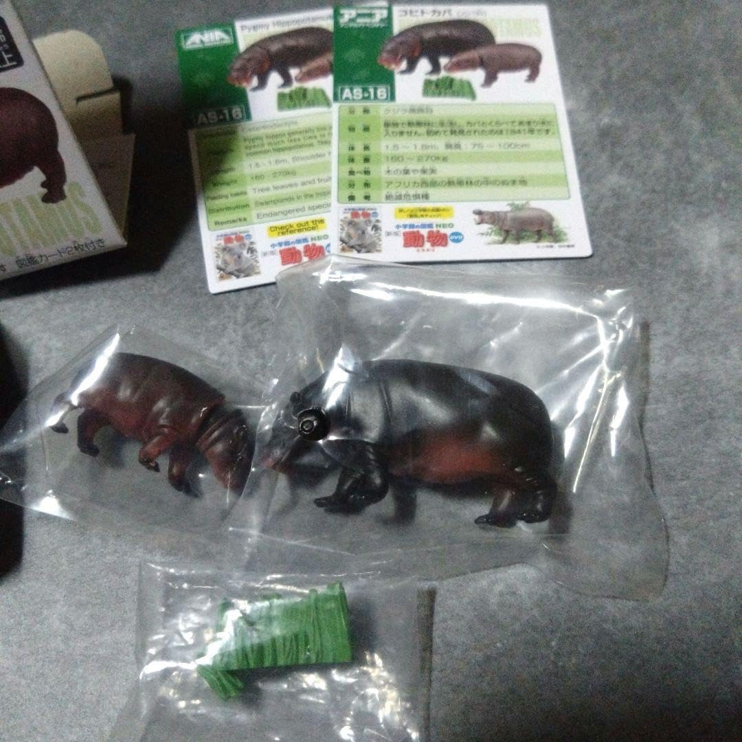 Amazon.co.jp: アニア アニマルアドベンチャー コビトカバ親子 動物